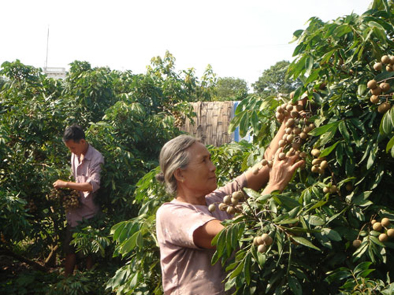 Chùm thơ của Nguyễn Chính Viễn (Quảng Ninh)